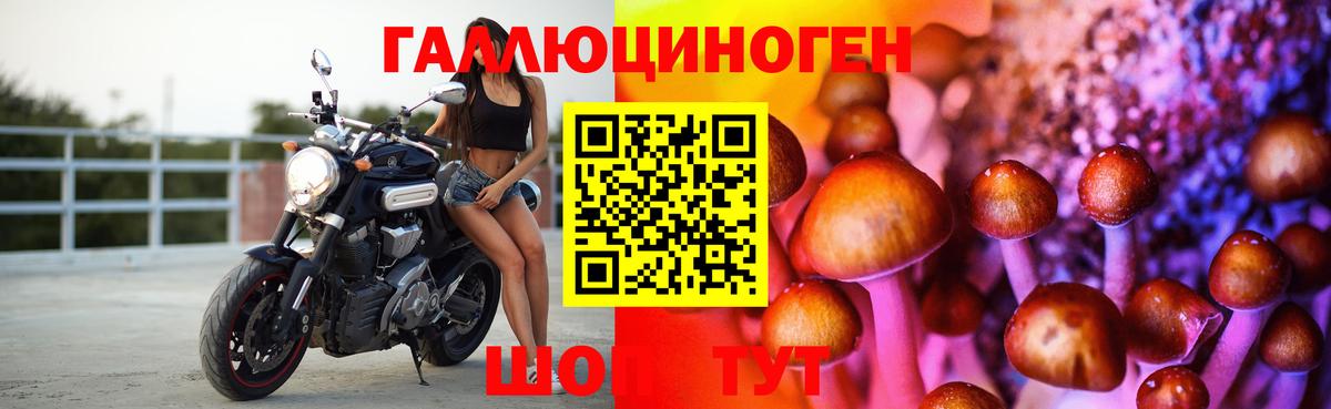 Балаково  Галлюциногенные грибы ЛСД  закладка  Вход с VPN 